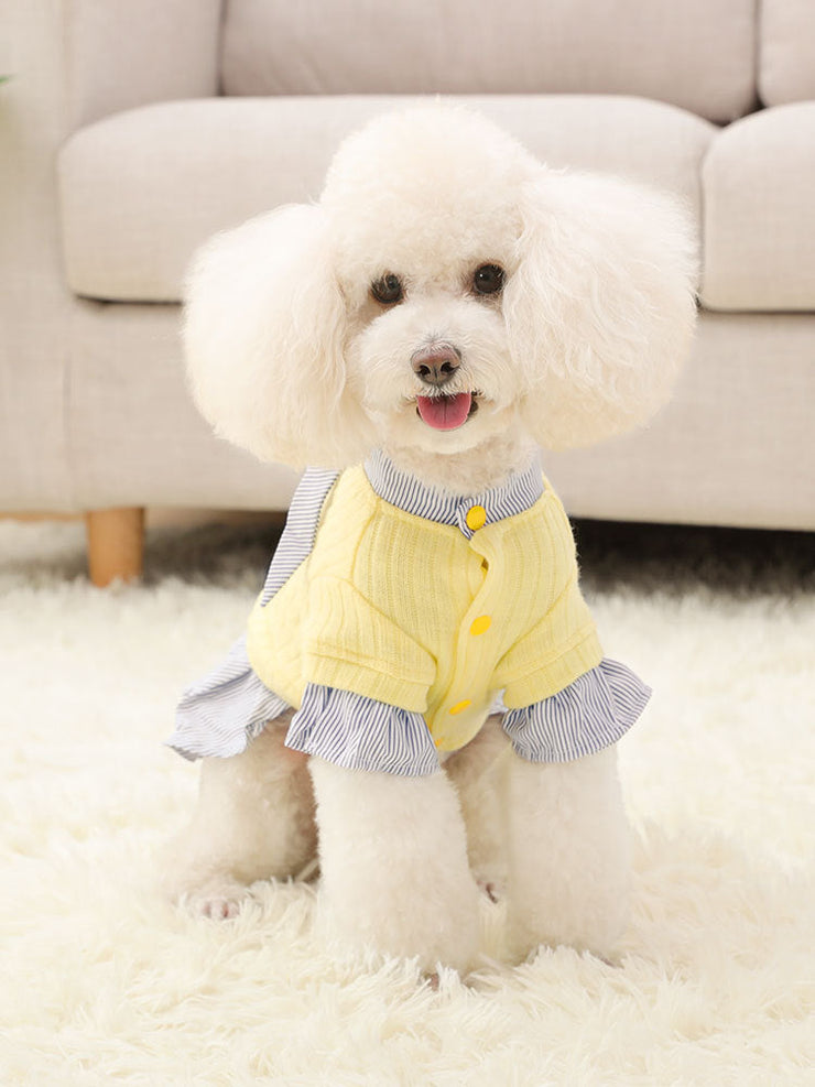 Dog Clothes Thin Style Small Dog Pet Trendy Autumn And Winter Clothes null